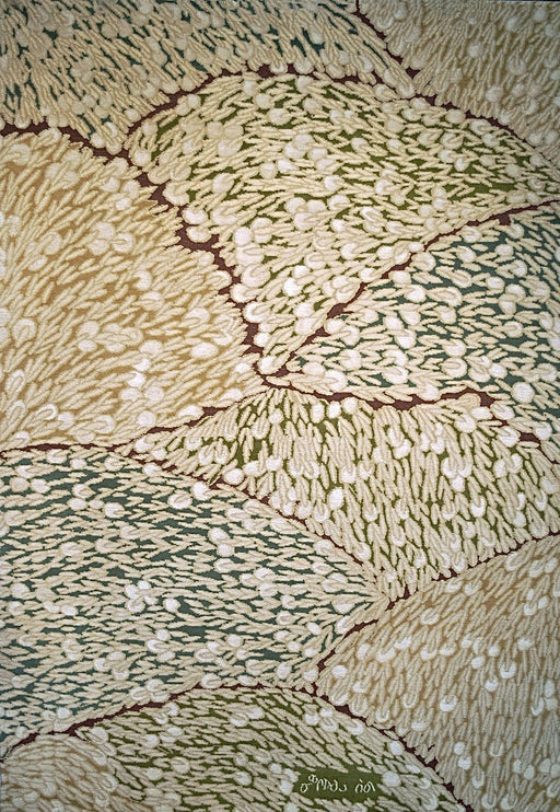 Arctic Cotton Carpet, 1 of 8 (Oak)bu Ningiukulu Teevee - Artfest Ontario - Inunoo - Carpets