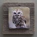 Birds Of Prey - On Barn Board 5876 - Artfest Ontario - Art On Stone - Photography