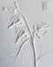 Bleeding Heart Mini Botanical Cast - Artfest Ontario - Botanical Art By Diane - Botanical Casts