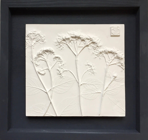 'Framed Botanical Cast - Black Wash' by Botanical Art by Diane De Roo - Artfest Ontario - Botanical Art By Diane De Roo - Botanical Casts
