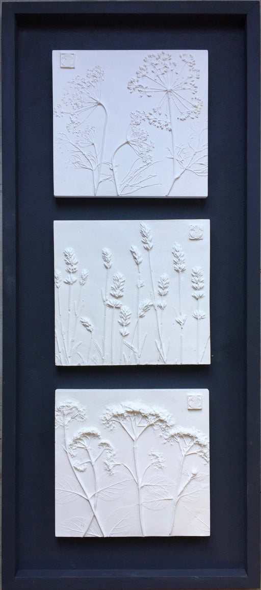 Framed Botanical Trio - Black Wash - Artfest Ontario - Botanical Art By Diane - Botanical Casts