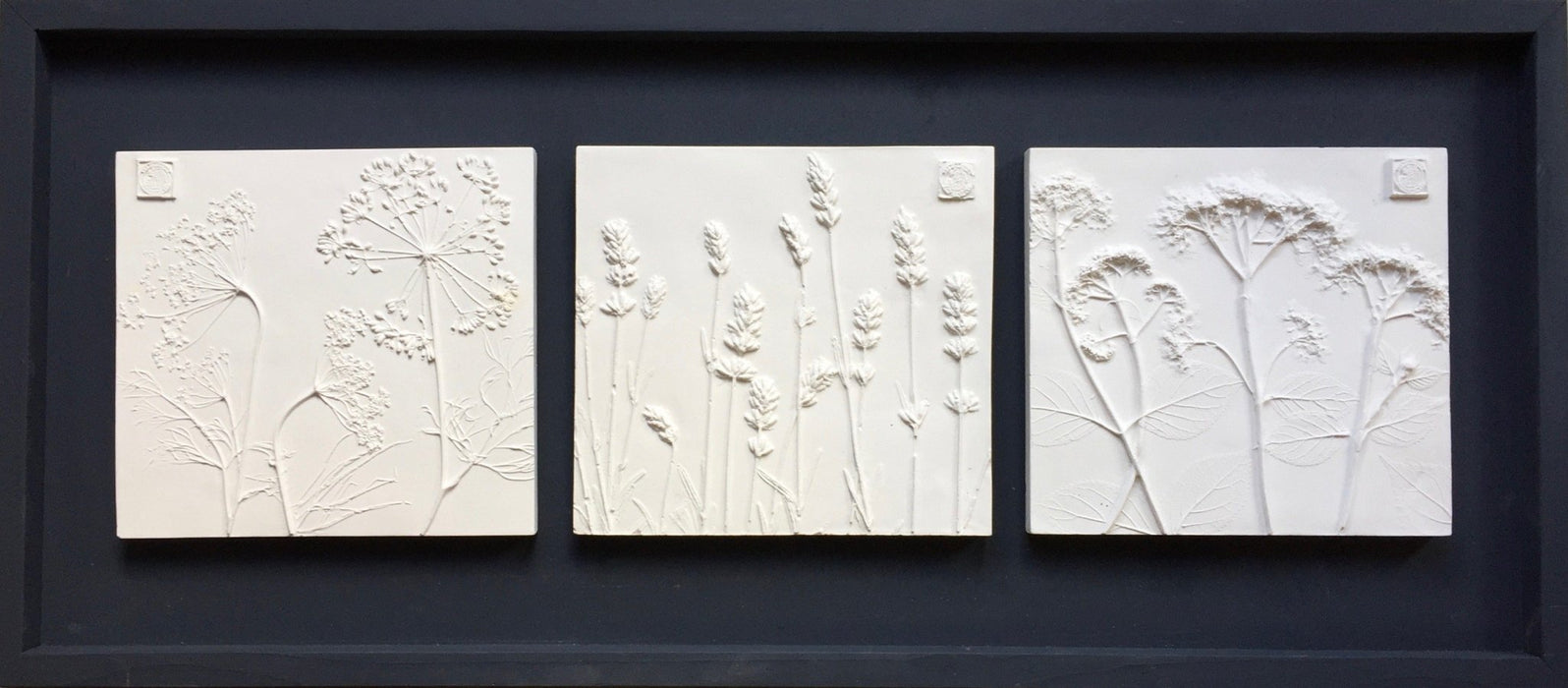 Framed Botanical Trio - Black Wash - Artfest Ontario - Botanical Art By Diane - Botanical Casts