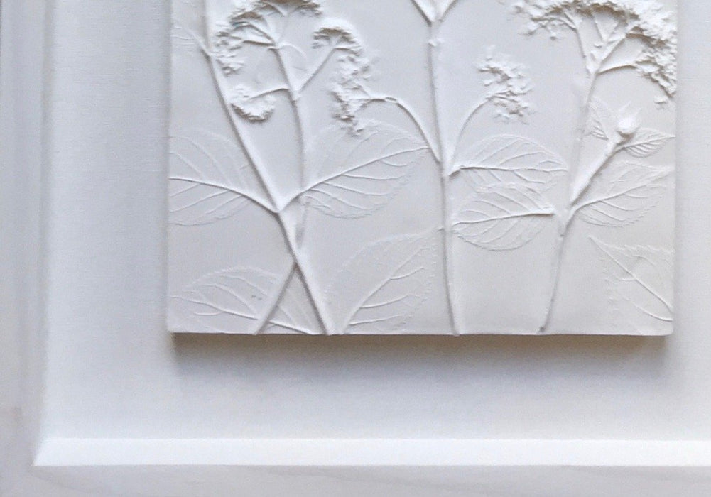Framed Botanical Trio - Cottage White - Artfest Ontario - Botanical Art By Diane - Botanical Casts