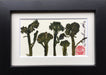 Mini Broccoli Frame - Artfest Ontario - Botanical Art By Diane -