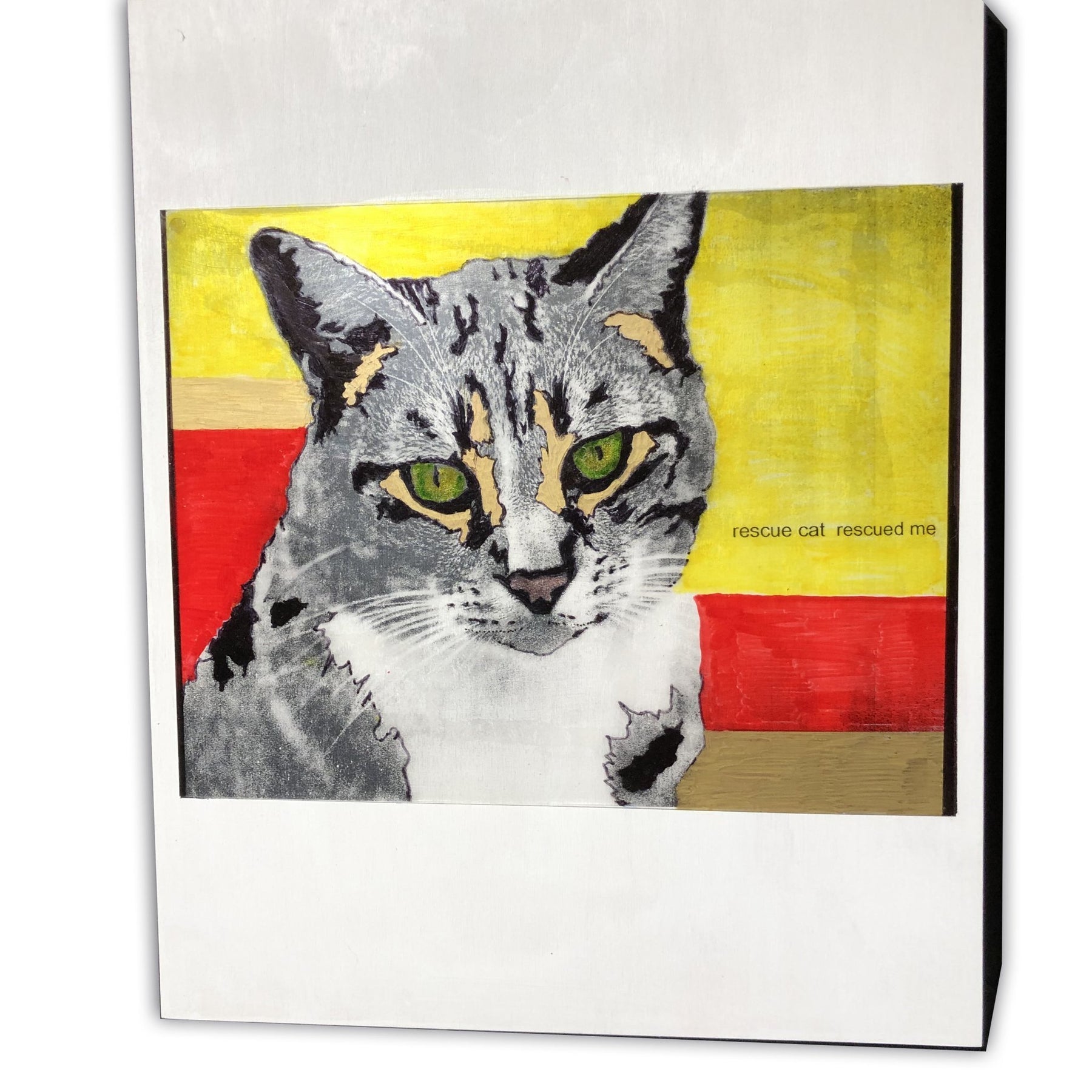 RESCUE CAT by Anne Sarac - Artfest Ontario