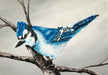 Art In A Box - Blue Jay - Artfest Ontario - Janet Liesemer's Art -