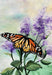 Art In A Box- Monarch Butterfly - Artfest Ontario - Janet Liesemer's Art -