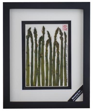 Asparagus Vegetable Shadow Box - Artfest Ontario - Botanical Art By Diane - Vegetable Art