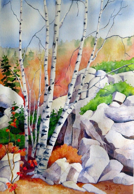 Back Country Birch - Artfest Ontario - Back-in-Time Gallery - Paintings by Donna Bonin - Paintings, Artwork & Sculpture