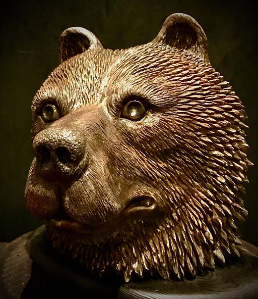 Bear Medicine - Okwari - Artfest Ontario - Native Expressions -