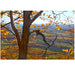 Beaver Valley View - Artfest Ontario - Bonnie Fox Photography - Photography