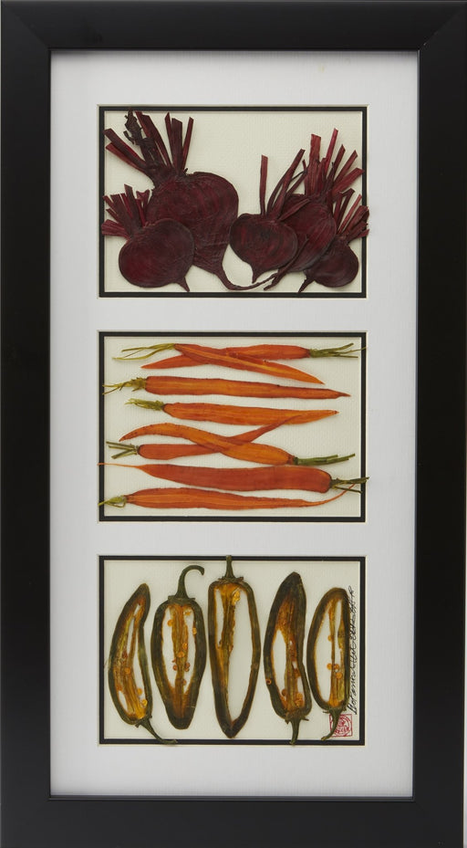 Beets, Carrots, and Peppers - Artfest Ontario - Botanical Art By Diane - Vegetable Art
