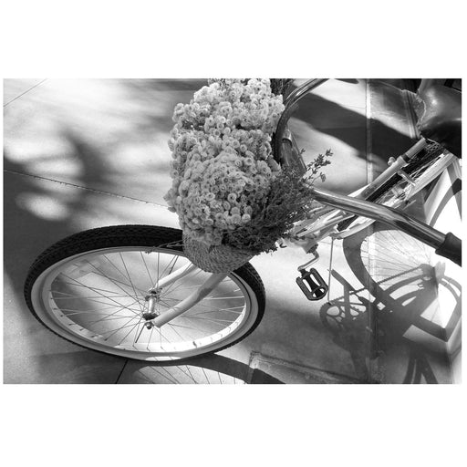 Bicycle Blooms - Artfest Ontario - Bonnie Fox Photography - Photography