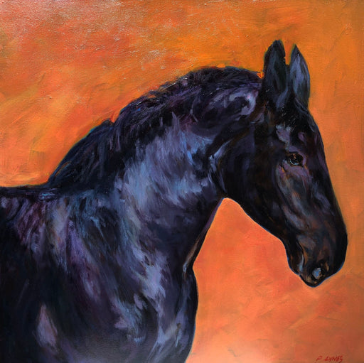 Black Horse - Artfest Ontario - Gradina Design Studio - Painting