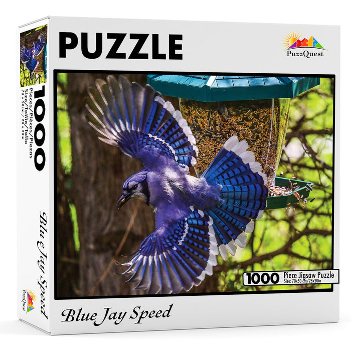 Blue Jay Speed Jigsaw Puzzle - Artfest Ontario - PuzzQuest - Toys & Games