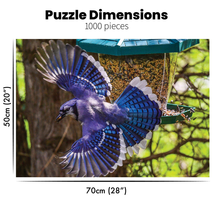 Blue Jay Speed Jigsaw Puzzle - Artfest Ontario - PuzzQuest - Toys & Games