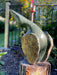 Calling Bird - Artfest Ontario - Chaka Chikodzi - Sculptures & Statues