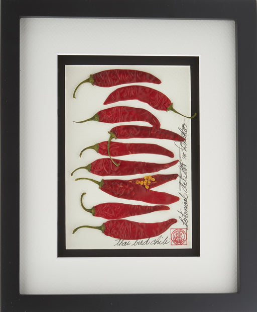 Chilli Peppers Vegetable Shadow Box - Artfest Ontario - Botanical Art By Diane - Vegetable Art