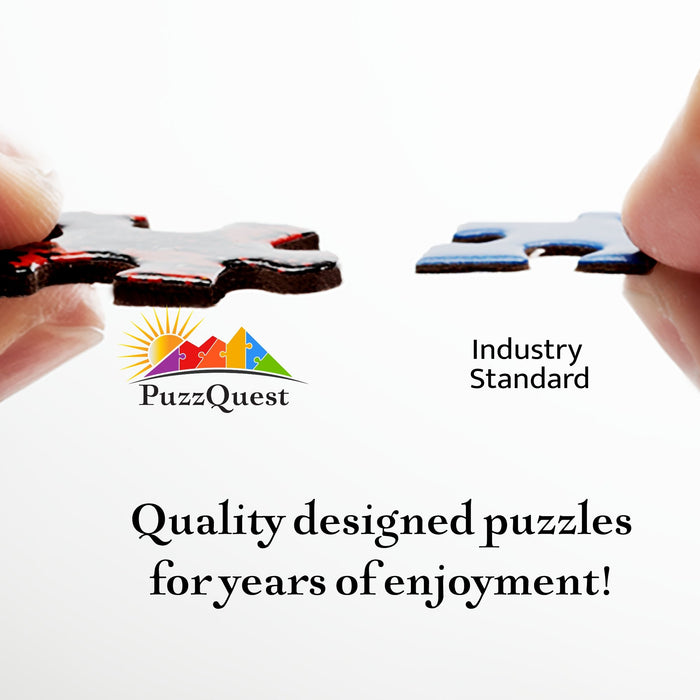 Conformity Jigsaw Puzzle - Artfest Ontario - PuzzQuest - Toys & Games