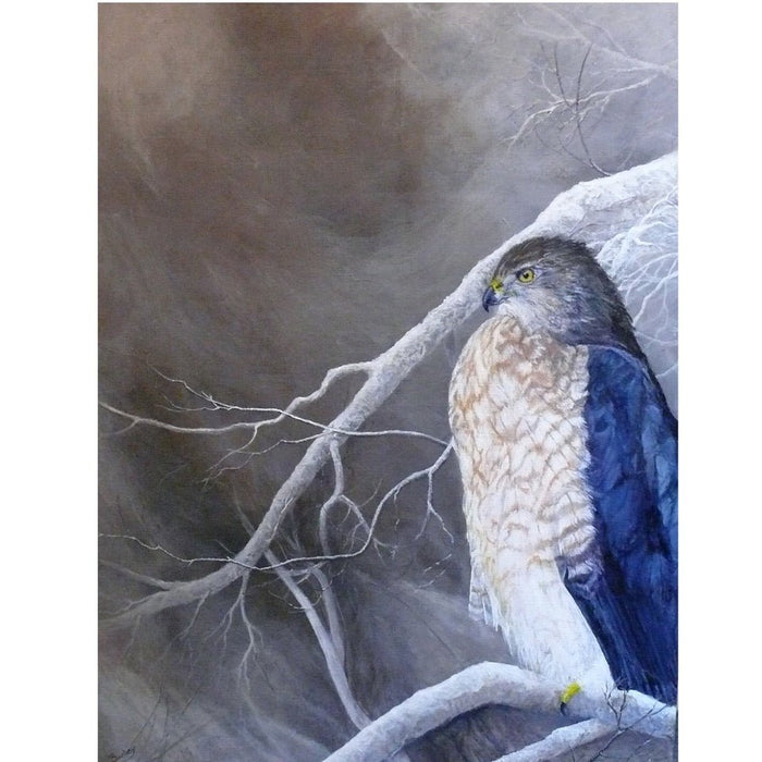 COOPER'S HAWK - Artfest Ontario - Bruce Bushey - Paintings