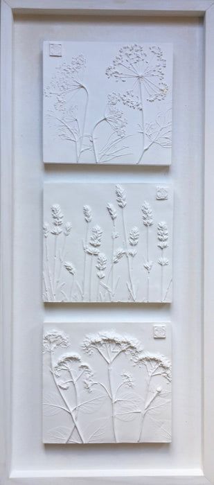 Framed Botanical Trio - Cottage White - Artfest Ontario - Botanical Art By Diane - Botanical Casts
