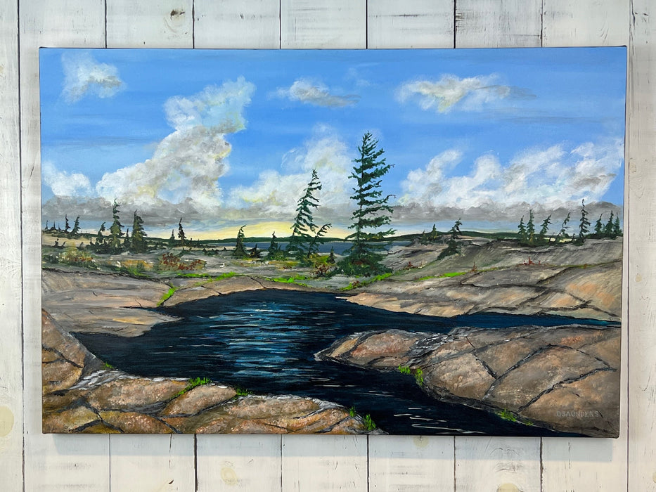 Georgian Bay Vista - Artfest Ontario - Dave Saunders - Painting