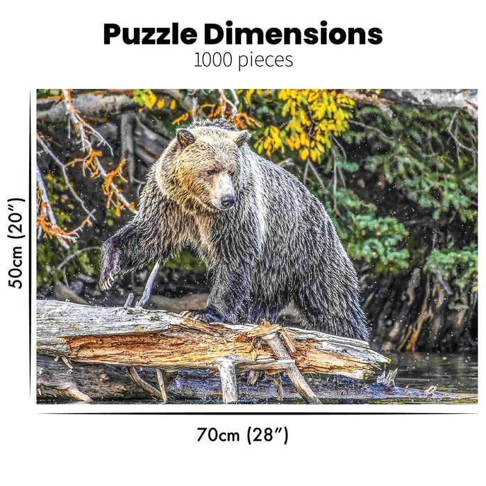 Grizzly Pounce Jigsaw Puzzle - Artfest Ontario - PuzzQuest - Toys & Games