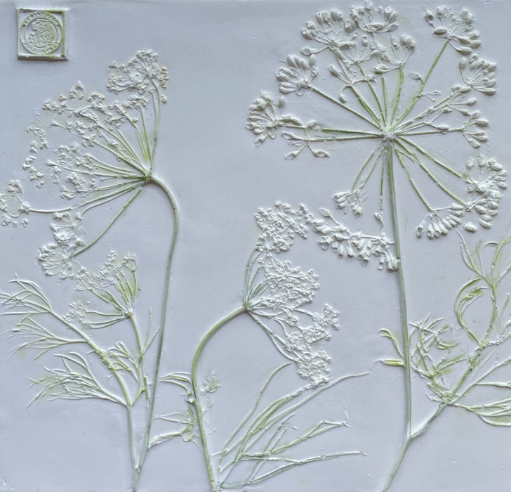 Hand Painted Queen Anne's Lace Botanical Cast - Artfest Ontario - Botanical Art By Diane - Botanical Casts