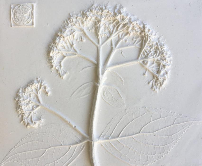 Hydrangea Mini Botanical Cast - Artfest Ontario - Botanical Art By Diane - Botanical Cast