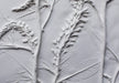 Lysimachia Large Botanical Cast - Artfest Ontario - Botanical Art By Diane - Botanical Casts