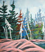 Magic-1204-1-21 - Artfest Ontario - Cockburnstudio - Paintings