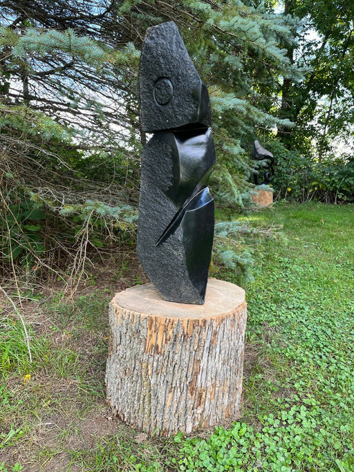 Mind's Eye 3 - Artfest Ontario - Chaka Chikodzi - Sculptures & Statues