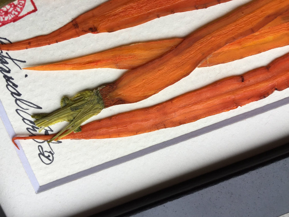 Mini Carrot Frame - Artfest Ontario - Botanical Art By Diane -