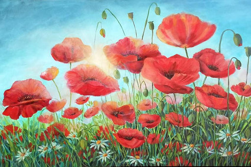 Poppies in the Sun - Artfest Ontario - Anna Krajewski - Paintings