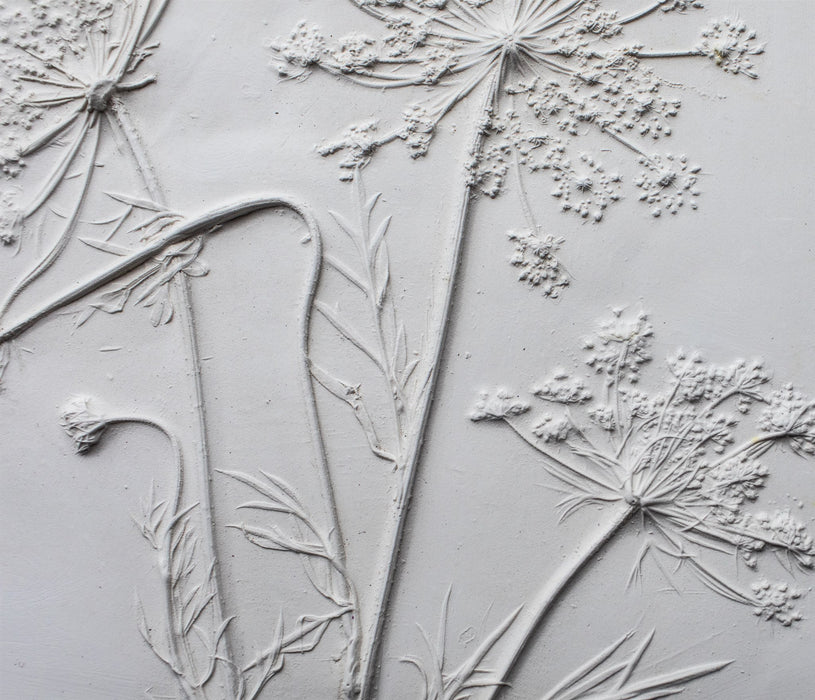 Queen Anne’s Lace Mini Botanical Cast - Artfest Ontario - Botanical Art By Diane - Botanical Casts
