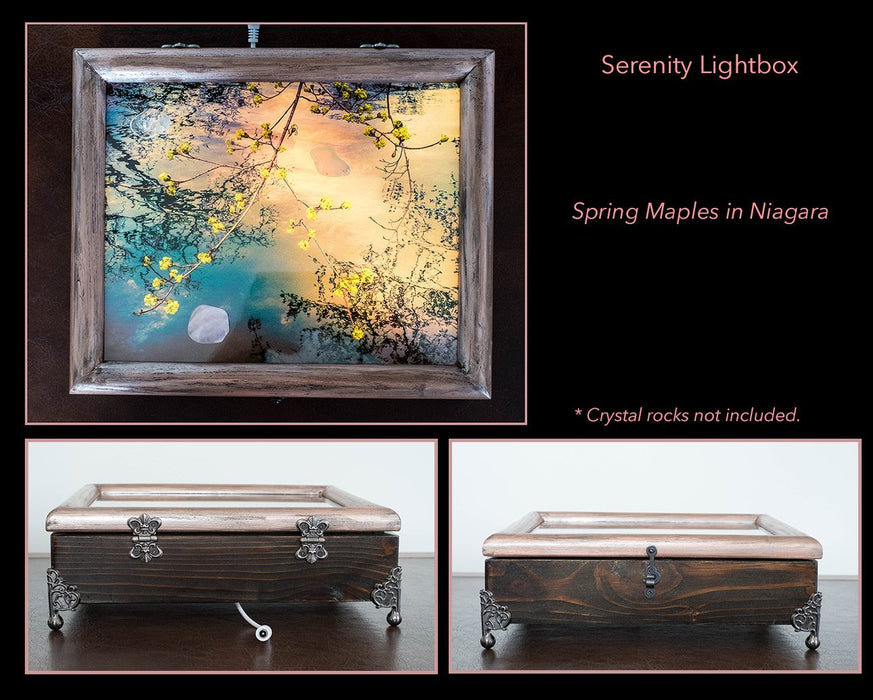 Serenity Box - Spring Maple in Niagara - Artfest Ontario
