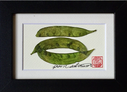 'Snap Peas Mini Frame" by Botanical Art By Diane De Roo - Artfest Ontario - Botanical Art By Diane De Roo - Vegetable Art
