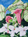 Spring Arrivals - Artfest Ontario - Back-in-Time Gallery - Paintings by Donna Bonin - Paintings, Artwork & Sculpture