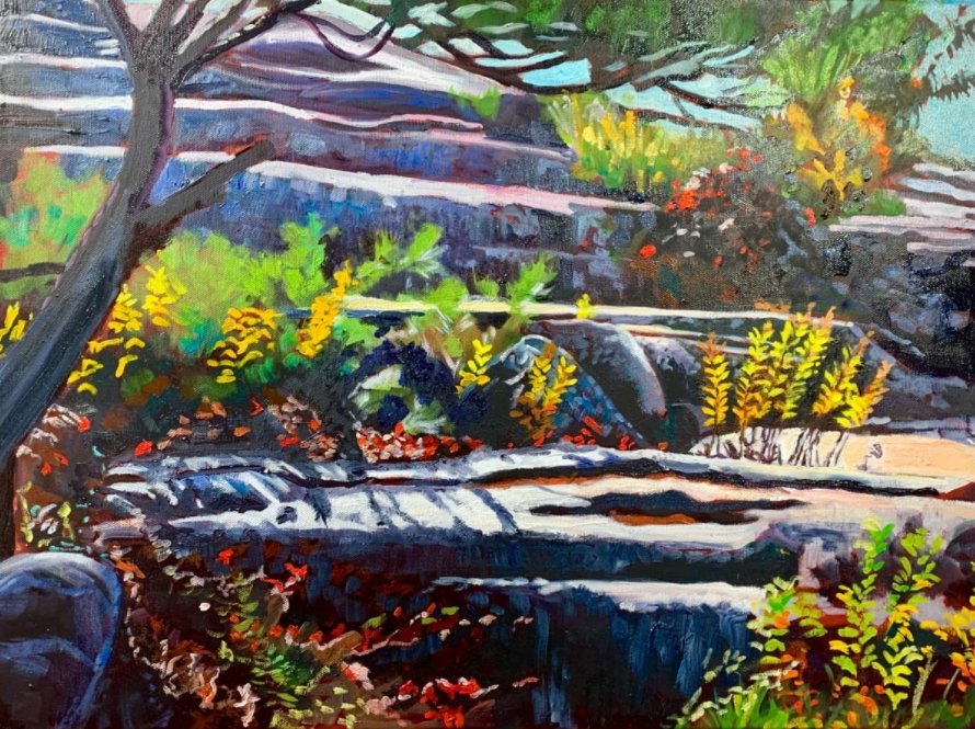 Sun on the Rocks in Fall, Killbear Provincial Park - Artfest Ontario - Lynne Ryall Art - Paintings, Artwork & Sculpture