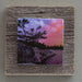 Sunset Point - On Barn Board 0195 - Artfest Ontario - Art On Stone - Photography