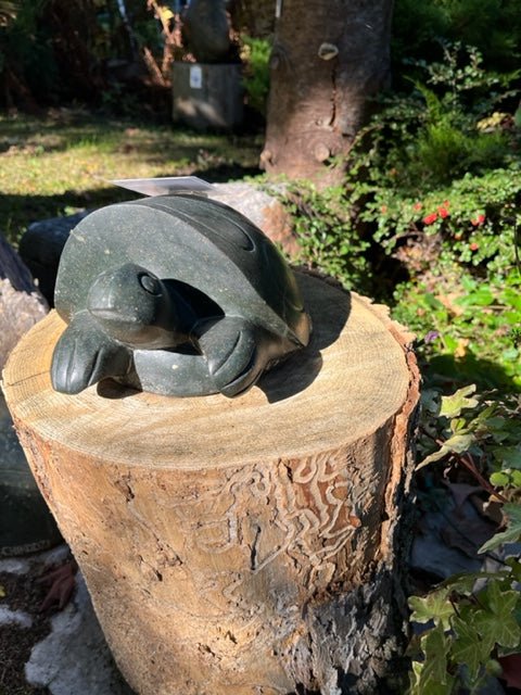 Turtle 2 - Artfest Ontario - Chaka Chikodzi - Sculptures & Statues