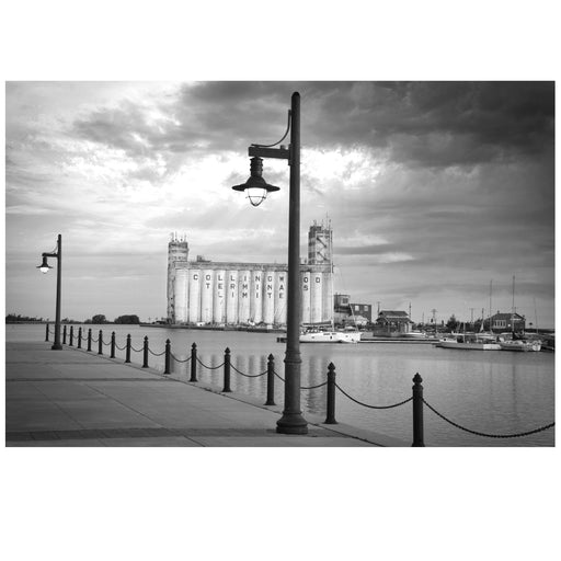 Waterfront Stroll in Black and White - Artfest Ontario - Bonnie Fox Photography - Photography