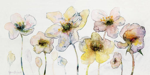 White Blossoms - Artfest Ontario - Anna Krajewski - Paintings